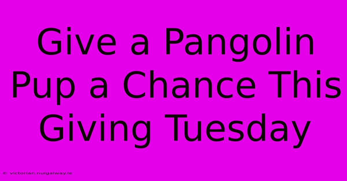 Give A Pangolin Pup A Chance This Giving Tuesday