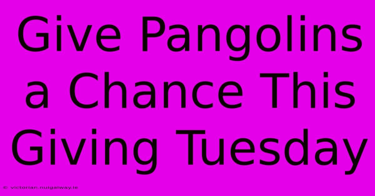 Give Pangolins A Chance This Giving Tuesday 