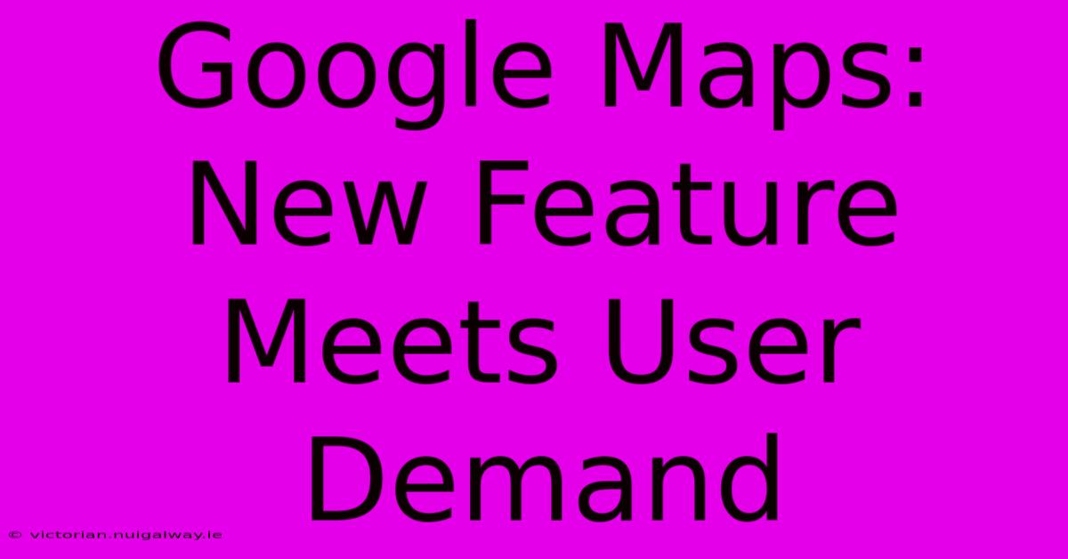 Google Maps: New Feature Meets User Demand