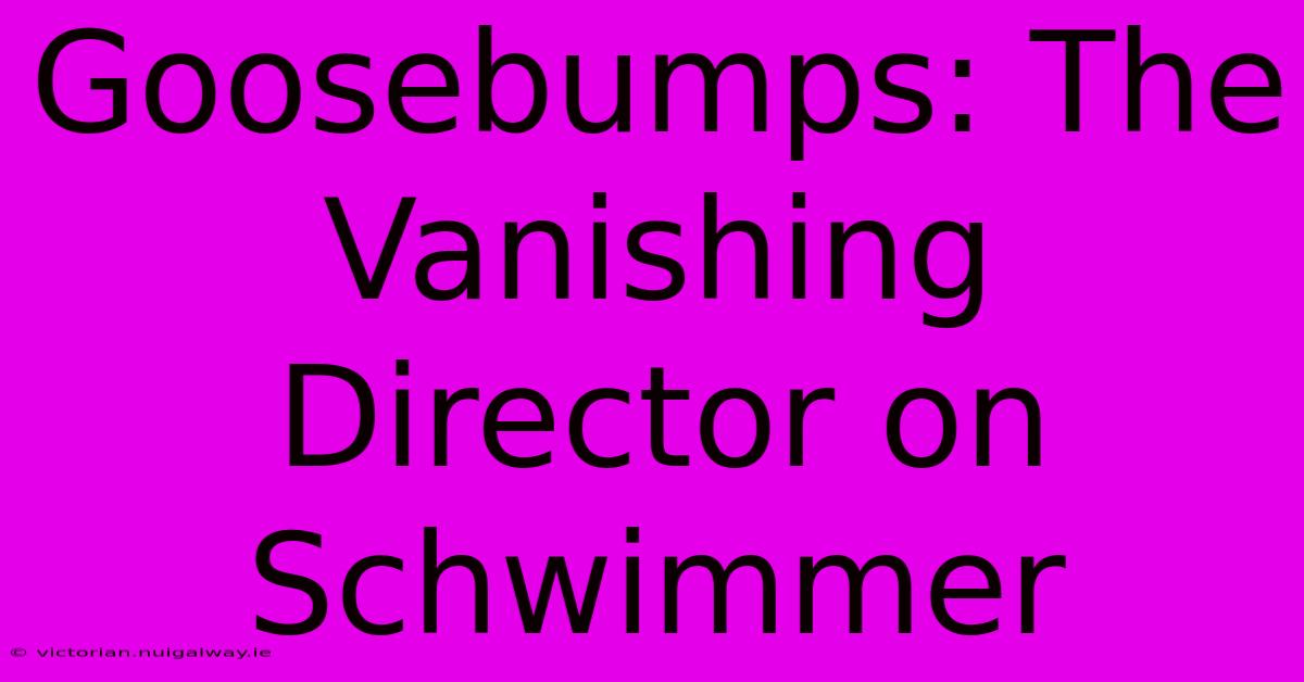 Goosebumps: The Vanishing Director On Schwimmer