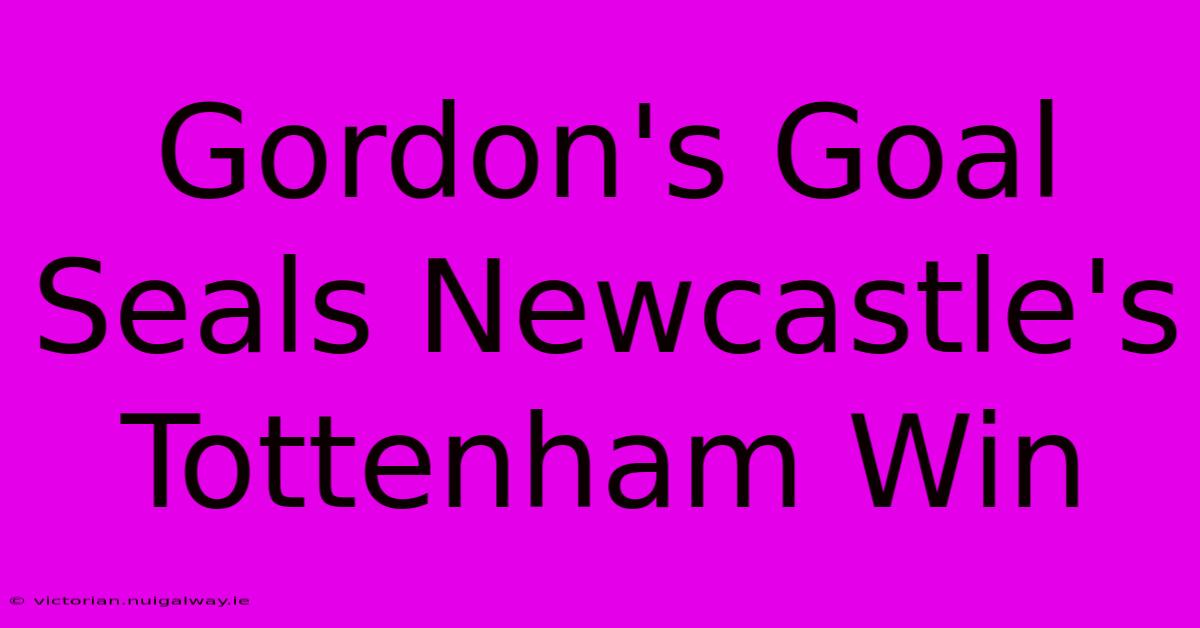 Gordon's Goal Seals Newcastle's Tottenham Win