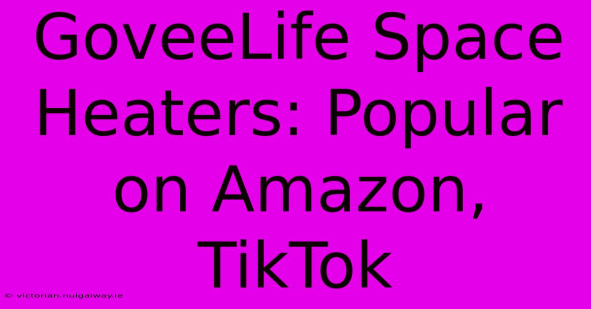 GoveeLife Space Heaters: Popular On Amazon, TikTok