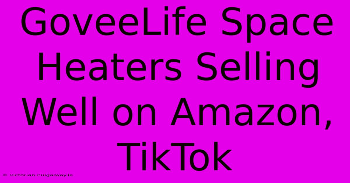 GoveeLife Space Heaters Selling Well On Amazon, TikTok