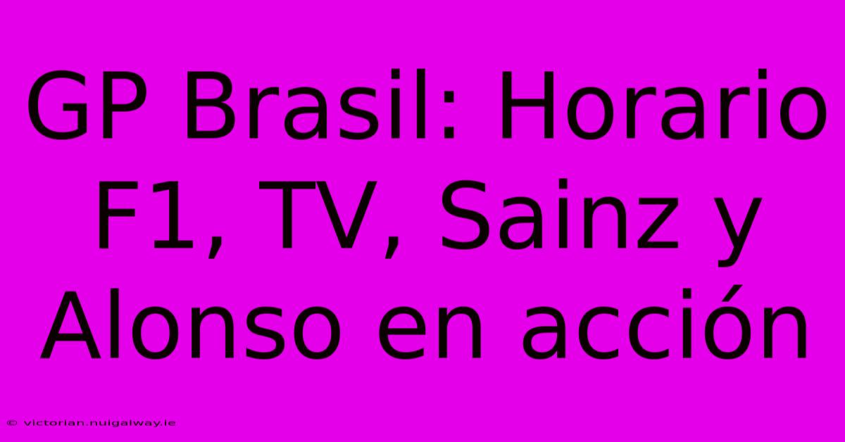 GP Brasil: Horario F1, TV, Sainz Y Alonso En Acción