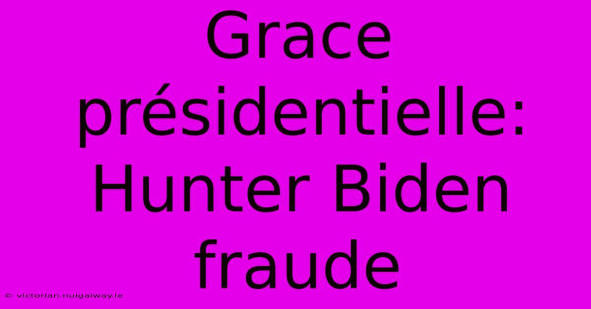 Grace Présidentielle: Hunter Biden Fraude