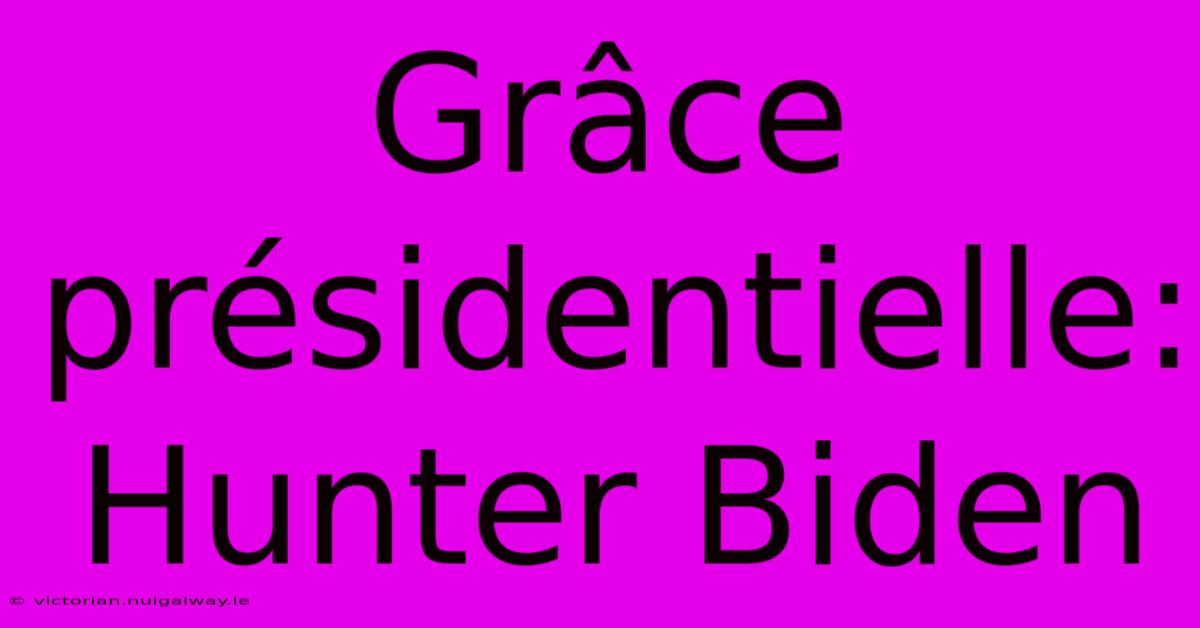 Grâce Présidentielle: Hunter Biden