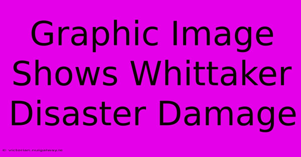 Graphic Image Shows Whittaker Disaster Damage