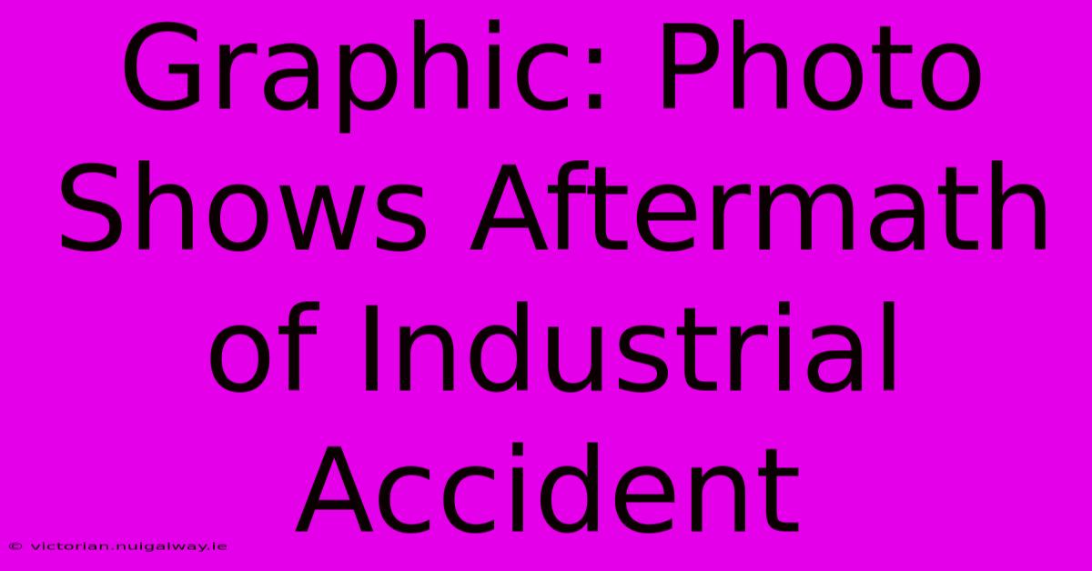 Graphic: Photo Shows Aftermath Of Industrial Accident