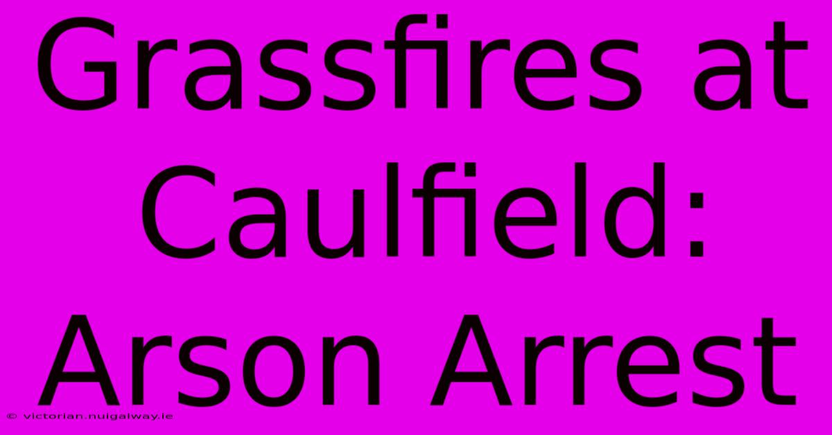 Grassfires At Caulfield: Arson Arrest