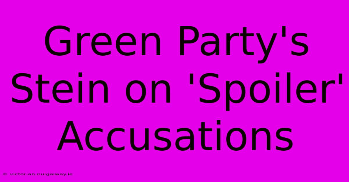 Green Party's Stein On 'Spoiler' Accusations