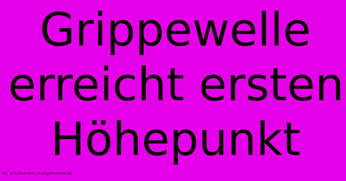 Grippewelle Erreicht Ersten Höhepunkt