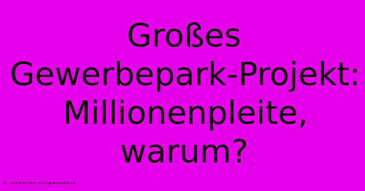 Großes Gewerbepark-Projekt: Millionenpleite, Warum? 