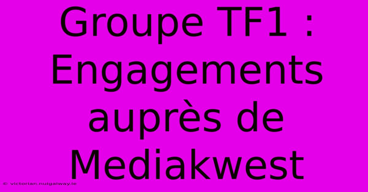 Groupe TF1 : Engagements Auprès De Mediakwest