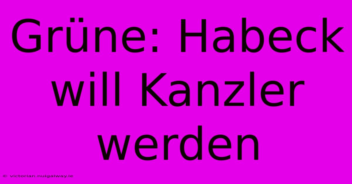 Grüne: Habeck Will Kanzler Werden