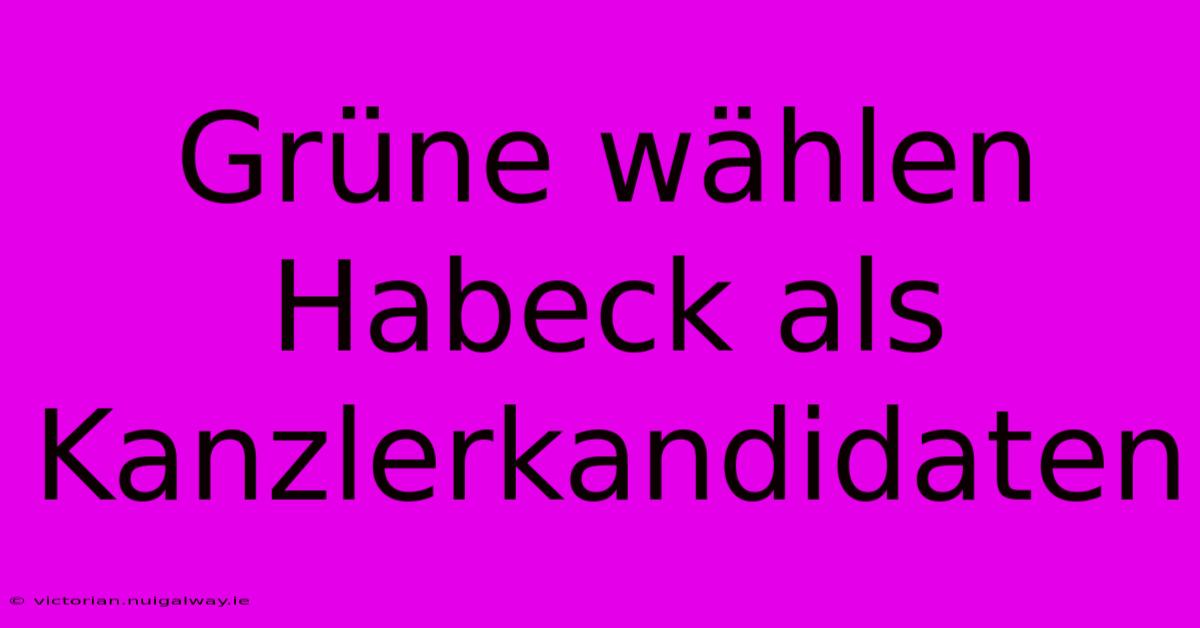 Grüne Wählen Habeck Als Kanzlerkandidaten