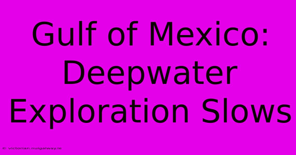 Gulf Of Mexico: Deepwater Exploration Slows