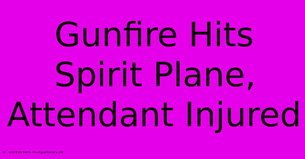 Gunfire Hits Spirit Plane, Attendant Injured