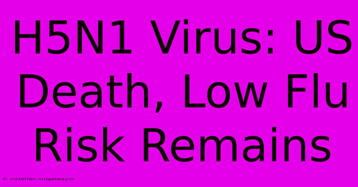 H5N1 Virus: US Death, Low Flu Risk Remains