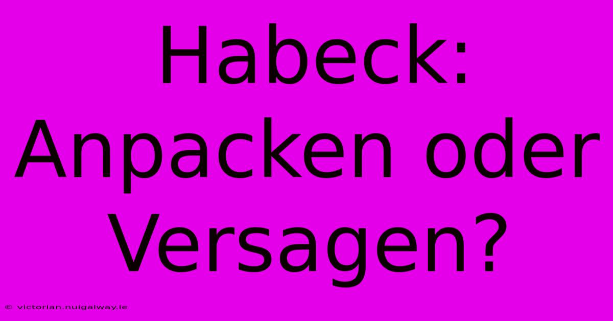 Habeck: Anpacken Oder Versagen?