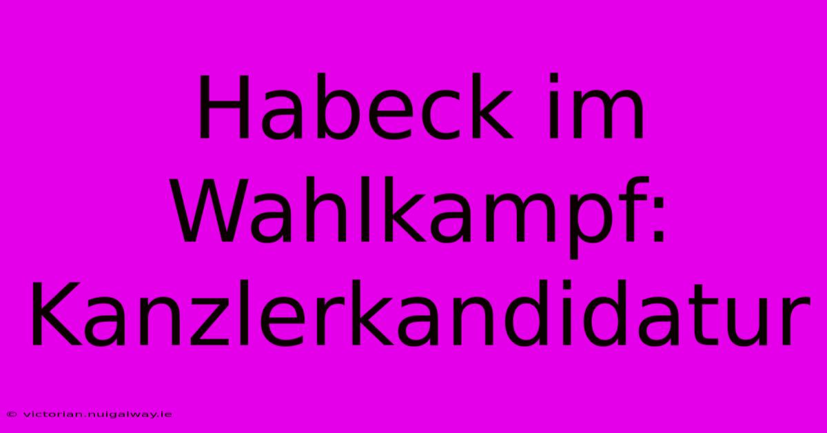 Habeck Im Wahlkampf: Kanzlerkandidatur 