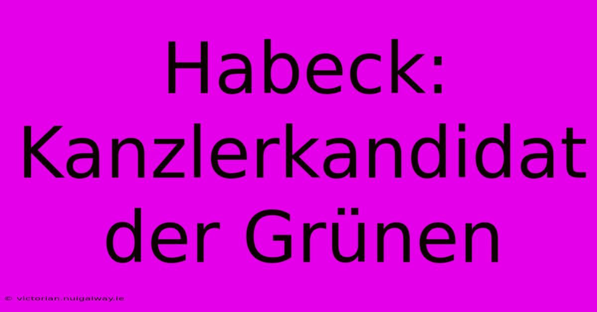 Habeck: Kanzlerkandidat Der Grünen