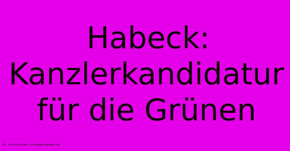 Habeck: Kanzlerkandidatur Für Die Grünen