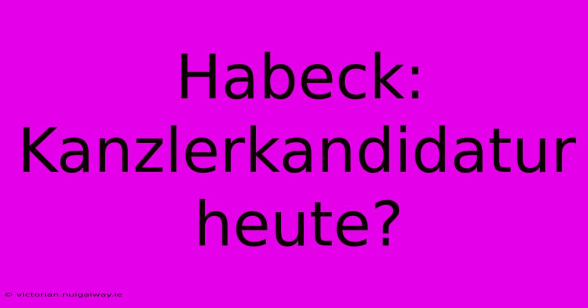 Habeck: Kanzlerkandidatur Heute?