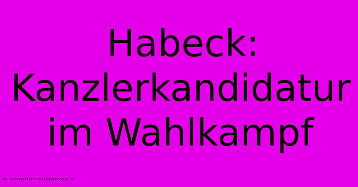 Habeck: Kanzlerkandidatur Im Wahlkampf