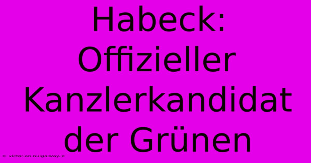 Habeck: Offizieller Kanzlerkandidat Der Grünen 