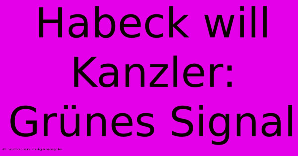 Habeck Will Kanzler: Grünes Signal 