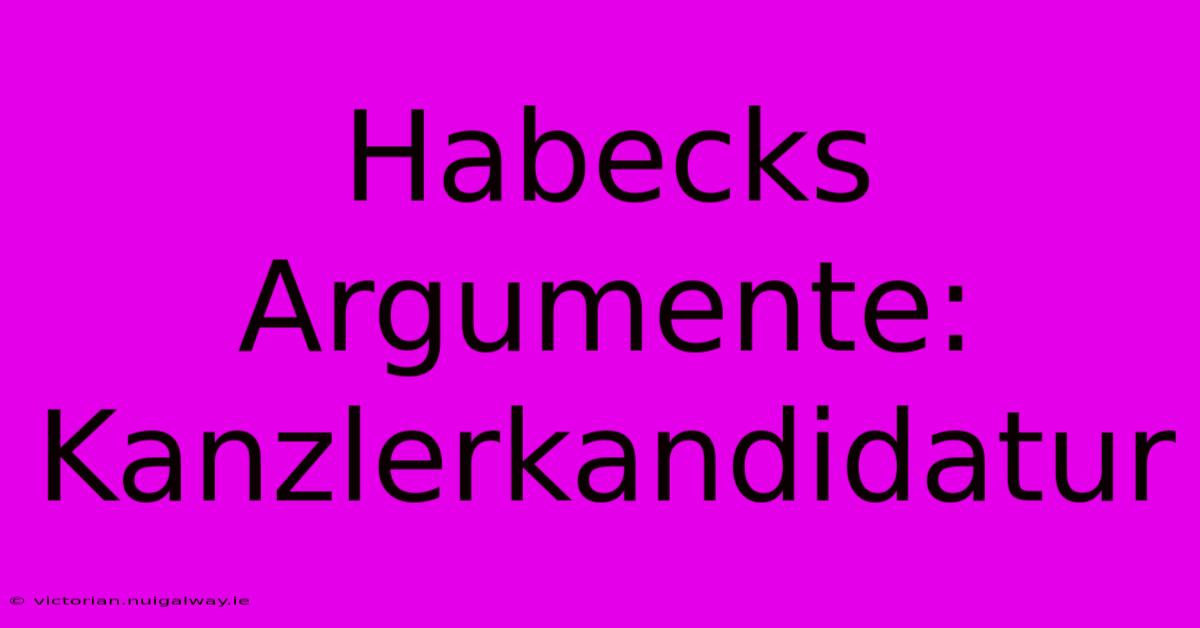 Habecks Argumente: Kanzlerkandidatur