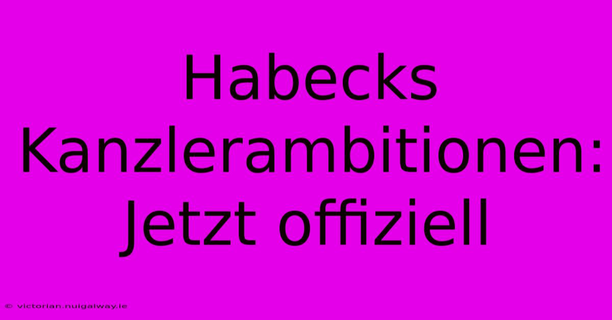 Habecks Kanzlerambitionen: Jetzt Offiziell