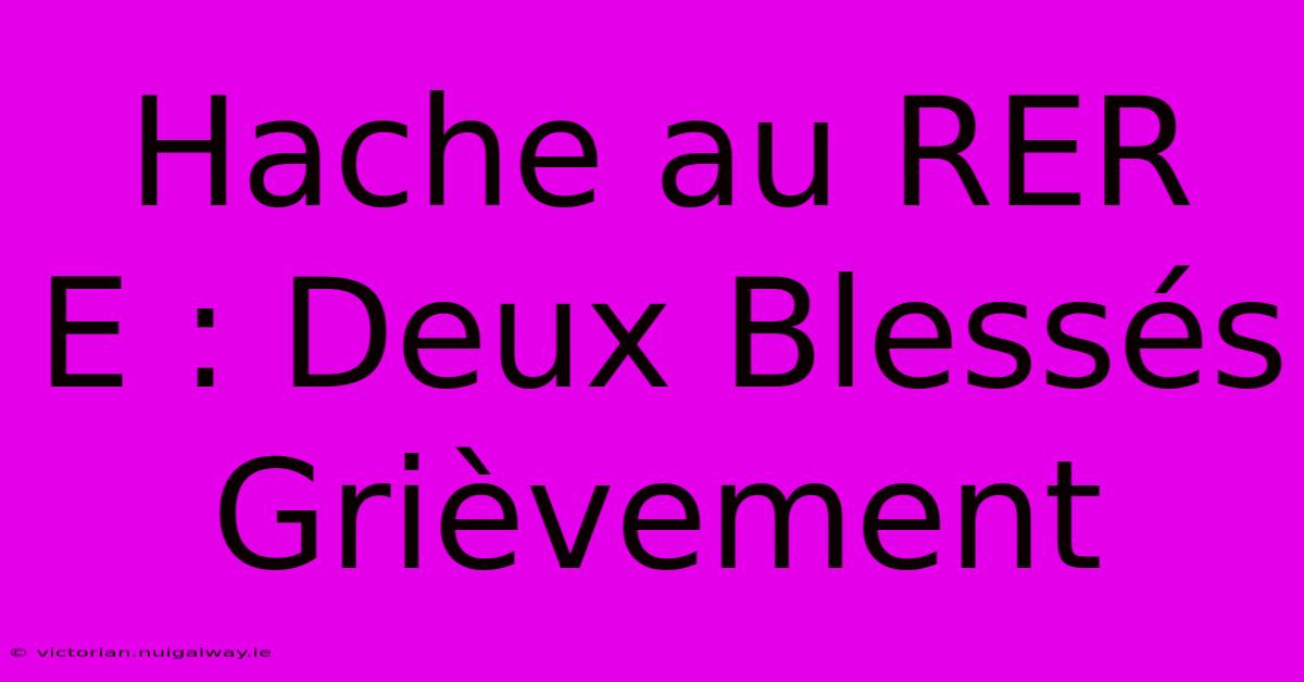 Hache Au RER E : Deux Blessés Grièvement 