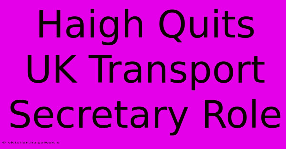 Haigh Quits UK Transport Secretary Role