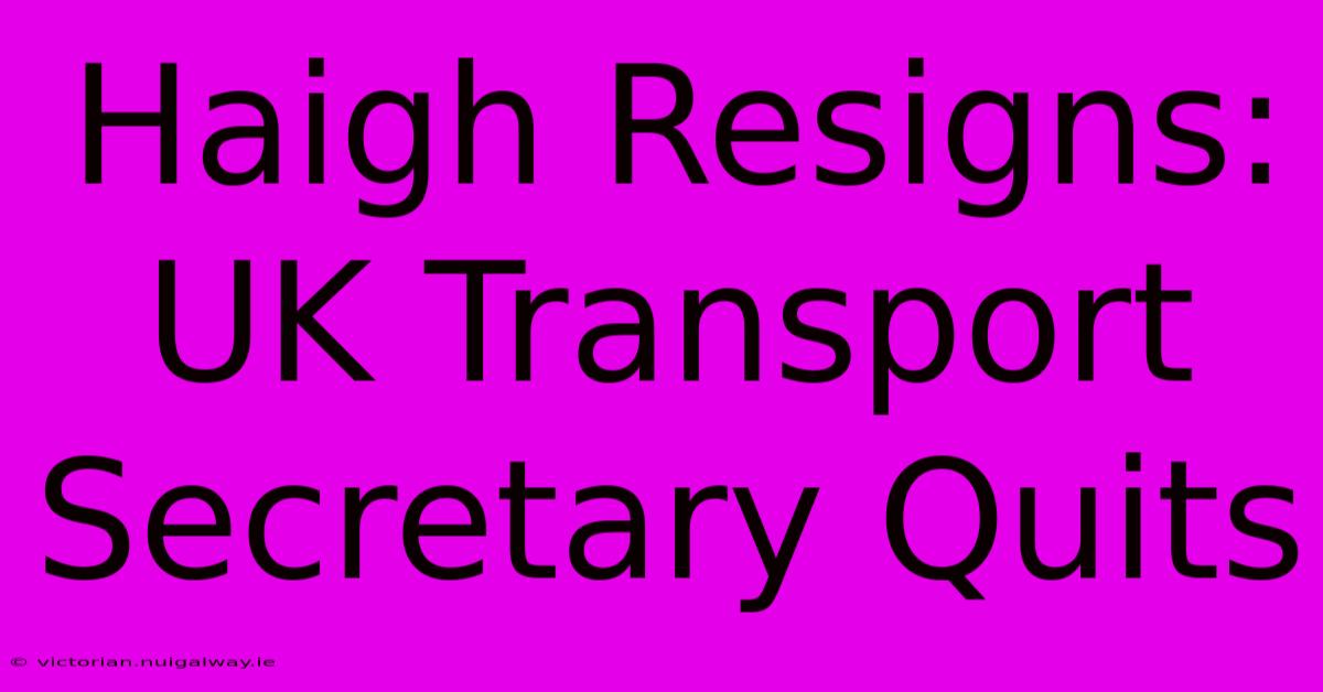 Haigh Resigns: UK Transport Secretary Quits