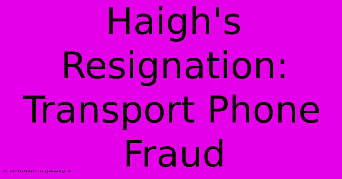 Haigh's Resignation: Transport Phone Fraud