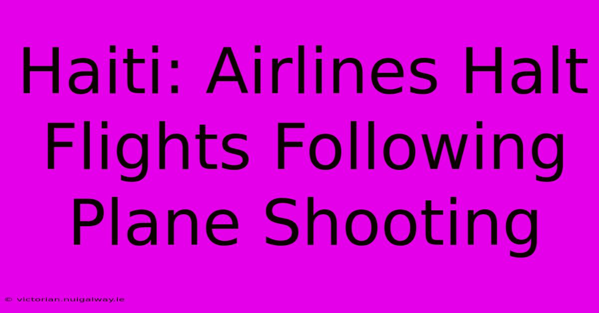 Haiti: Airlines Halt Flights Following Plane Shooting