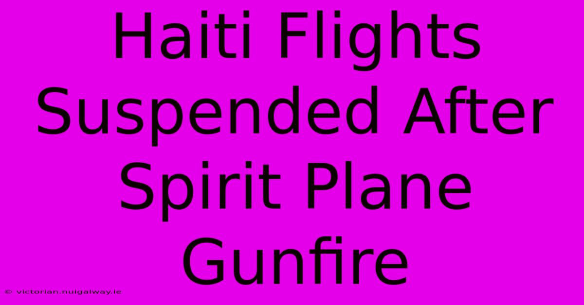 Haiti Flights Suspended After Spirit Plane Gunfire