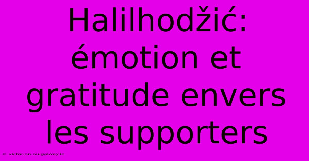 Halilhodžić: Émotion Et Gratitude Envers Les Supporters