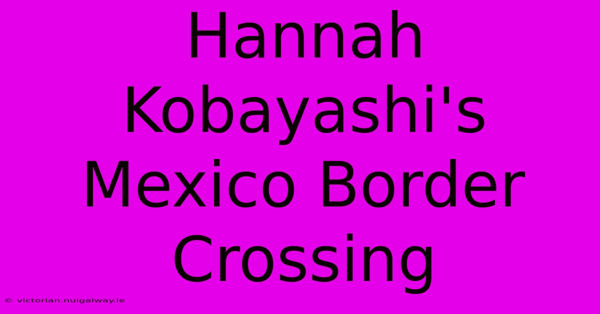 Hannah Kobayashi's Mexico Border Crossing