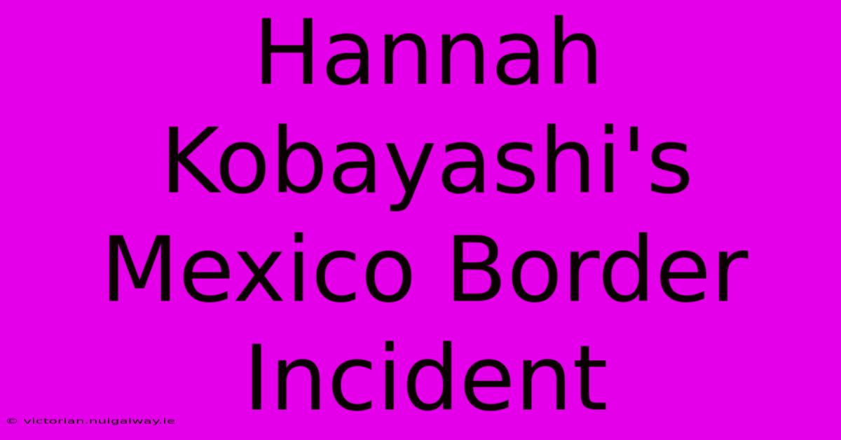 Hannah Kobayashi's Mexico Border Incident