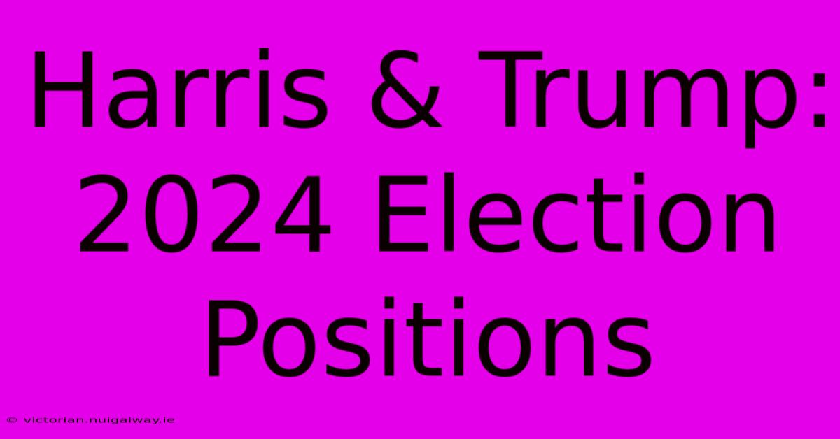 Harris & Trump:  2024 Election Positions