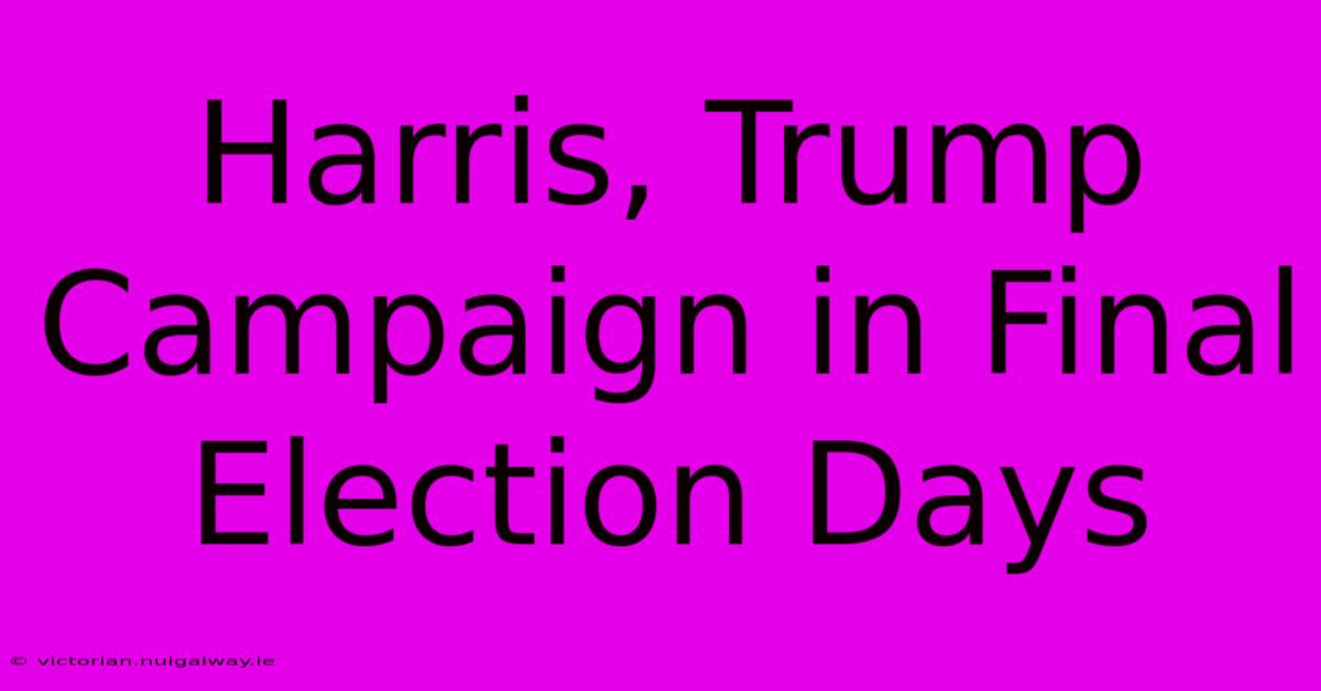 Harris, Trump Campaign In Final Election Days 