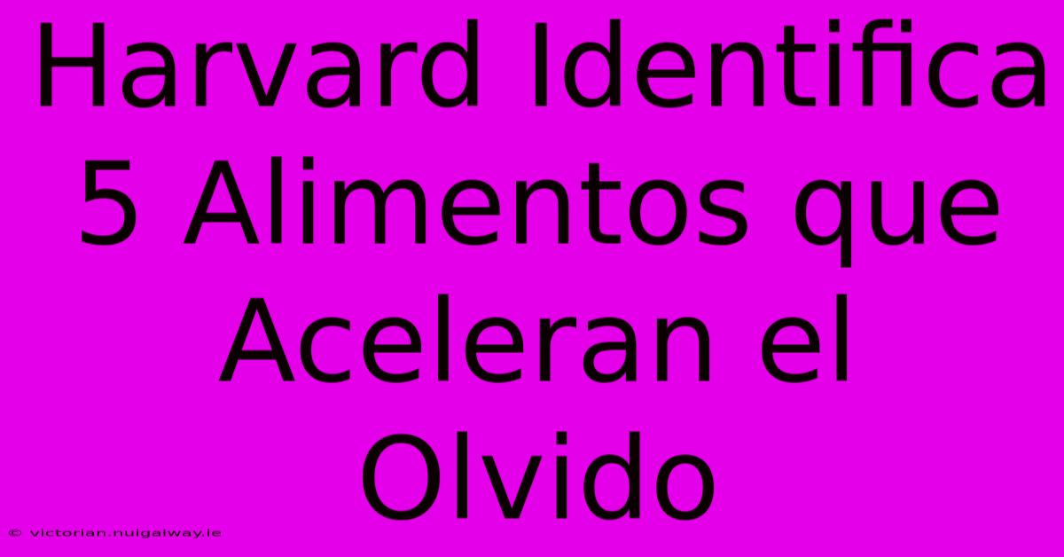 Harvard Identifica 5 Alimentos Que Aceleran El Olvido