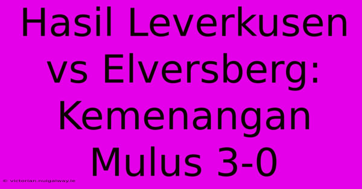 Hasil Leverkusen Vs Elversberg: Kemenangan Mulus 3-0