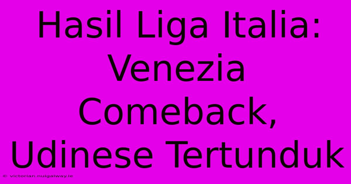 Hasil Liga Italia: Venezia Comeback, Udinese Tertunduk