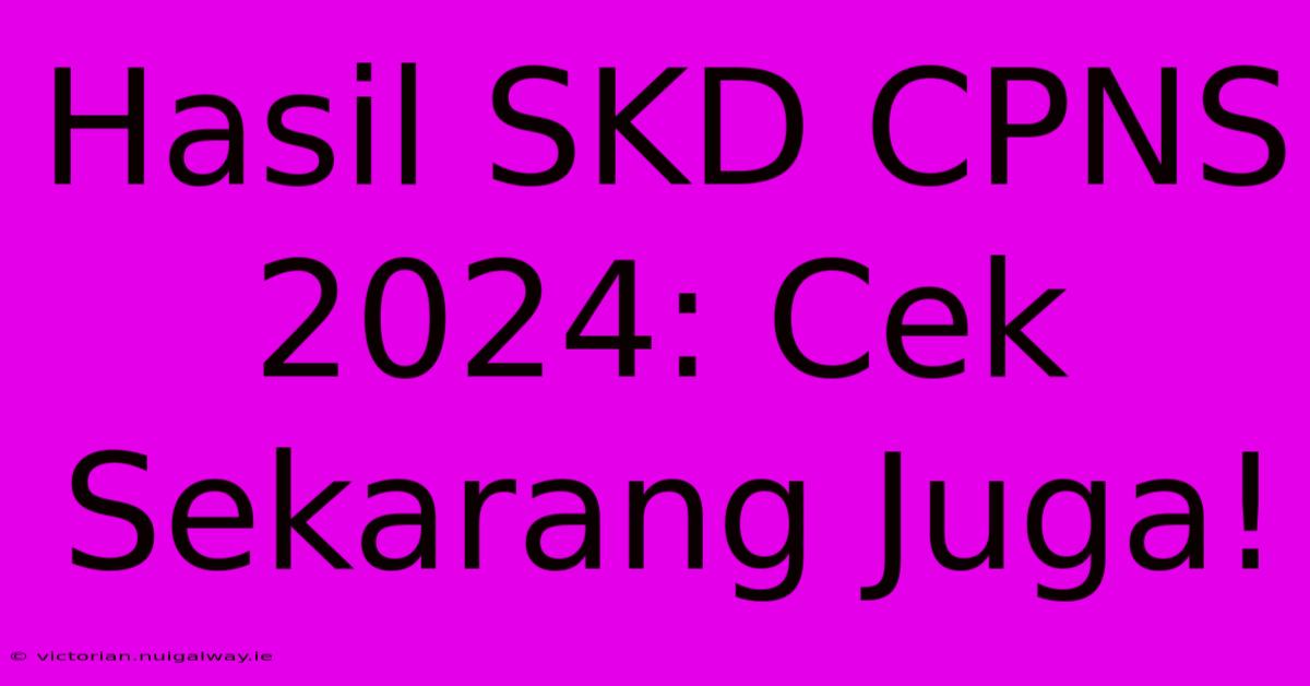 Hasil SKD CPNS 2024: Cek Sekarang Juga!