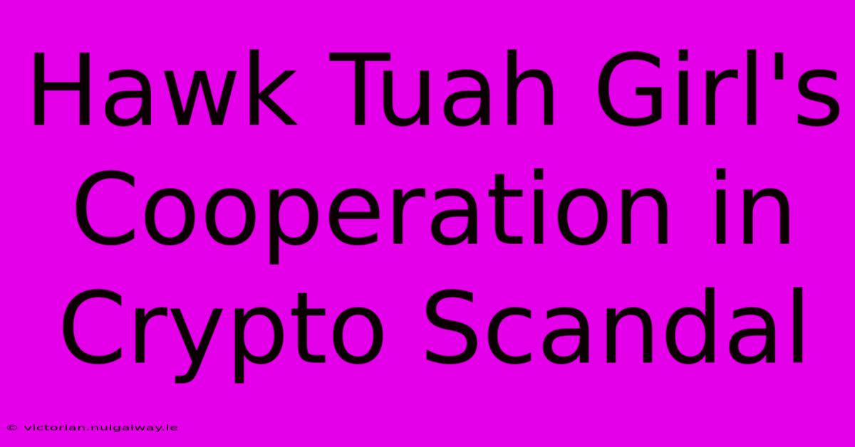 Hawk Tuah Girl's Cooperation In Crypto Scandal