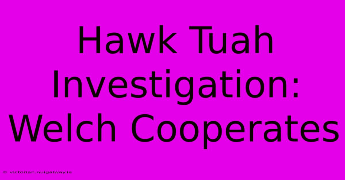 Hawk Tuah Investigation: Welch Cooperates