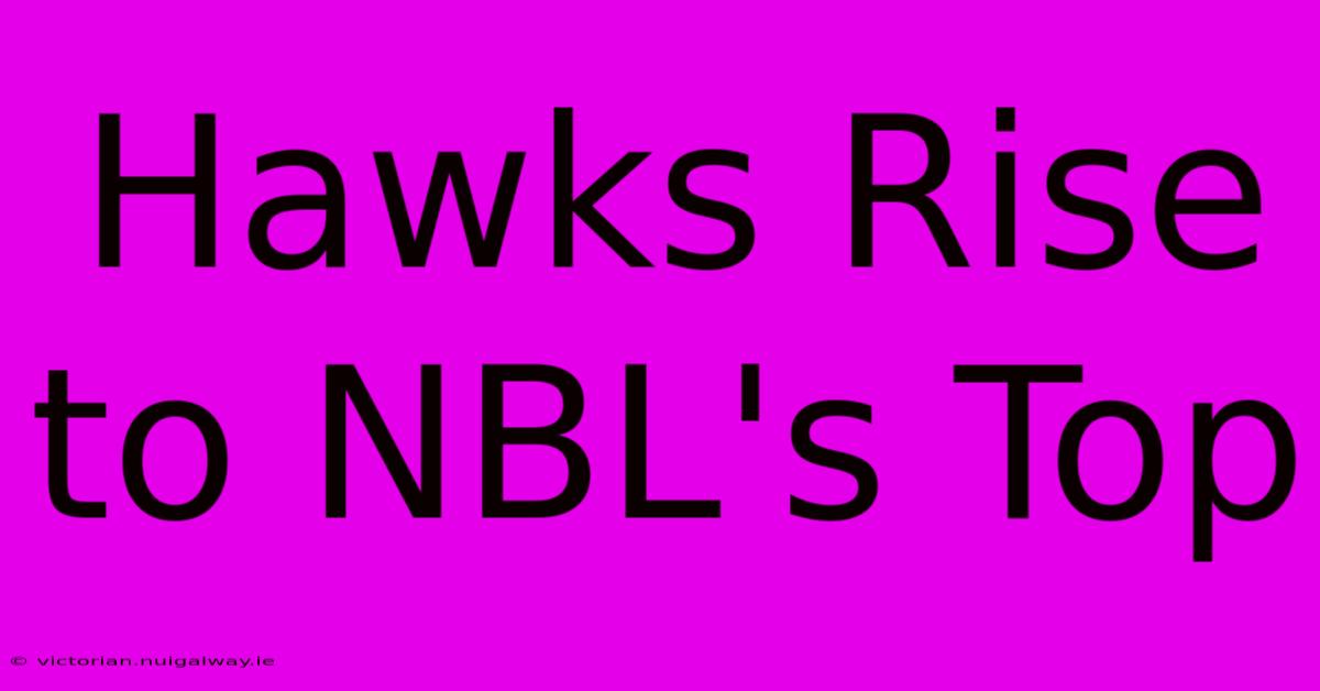 Hawks Rise To NBL's Top